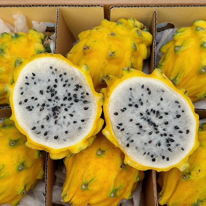 【乐鲜果园】厄瓜多尔燕窝果麒麟果当季新鲜进口火龙果