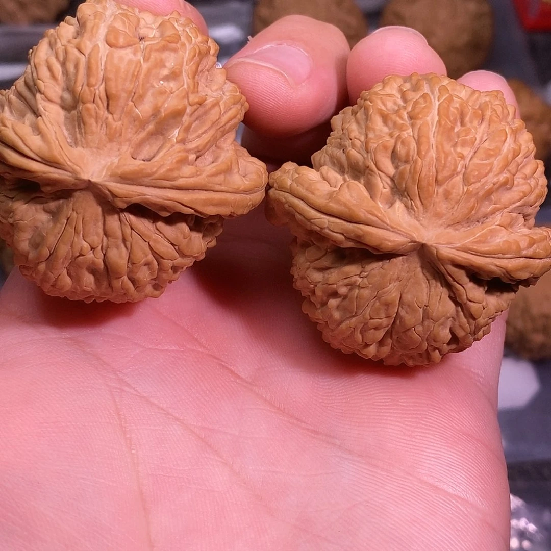 文玩核桃把件白狮子44全品