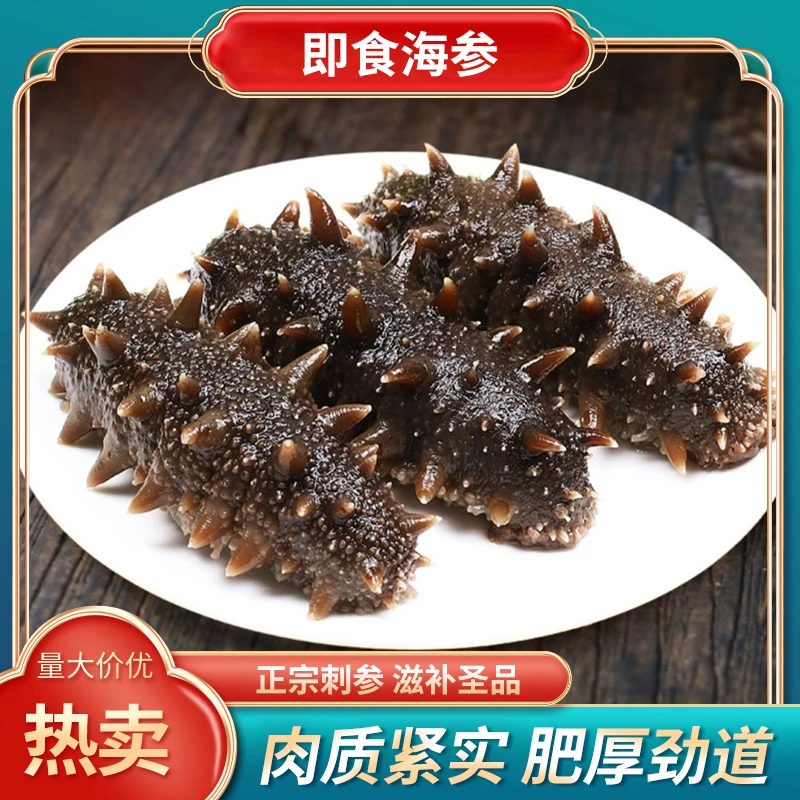 鲜捕头即食海参正宗新鲜食深海参开袋即食营养滋补8-12头/斤 500g
