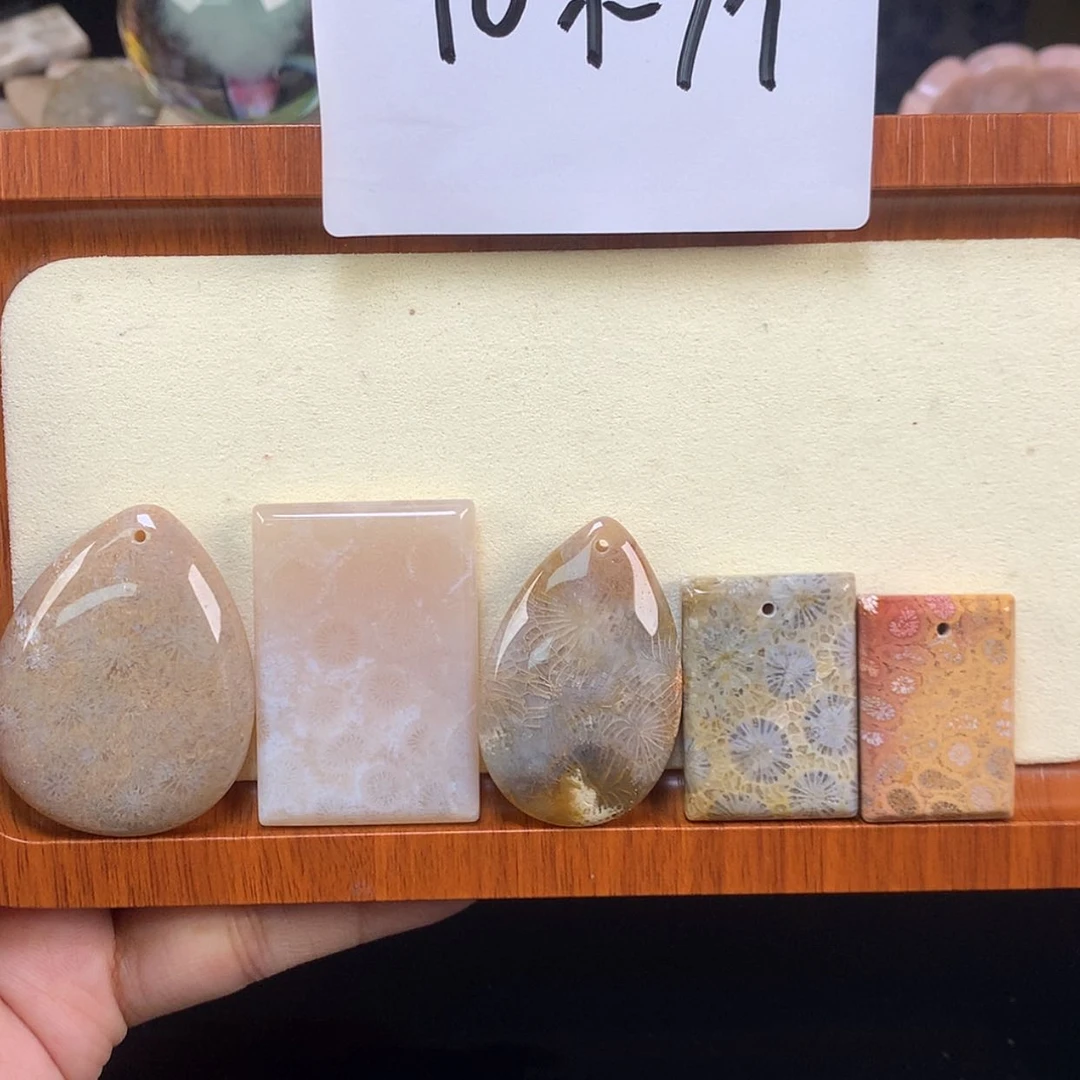 【闪购商品】颈饰未镶嵌硅化珊瑚（珊瑚玉）12号 10/个 可挑
