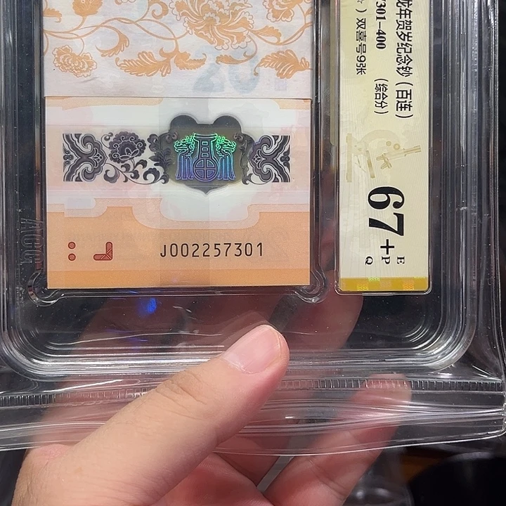 塑料龙钞啊啊啊啊啊啊啊啊啊