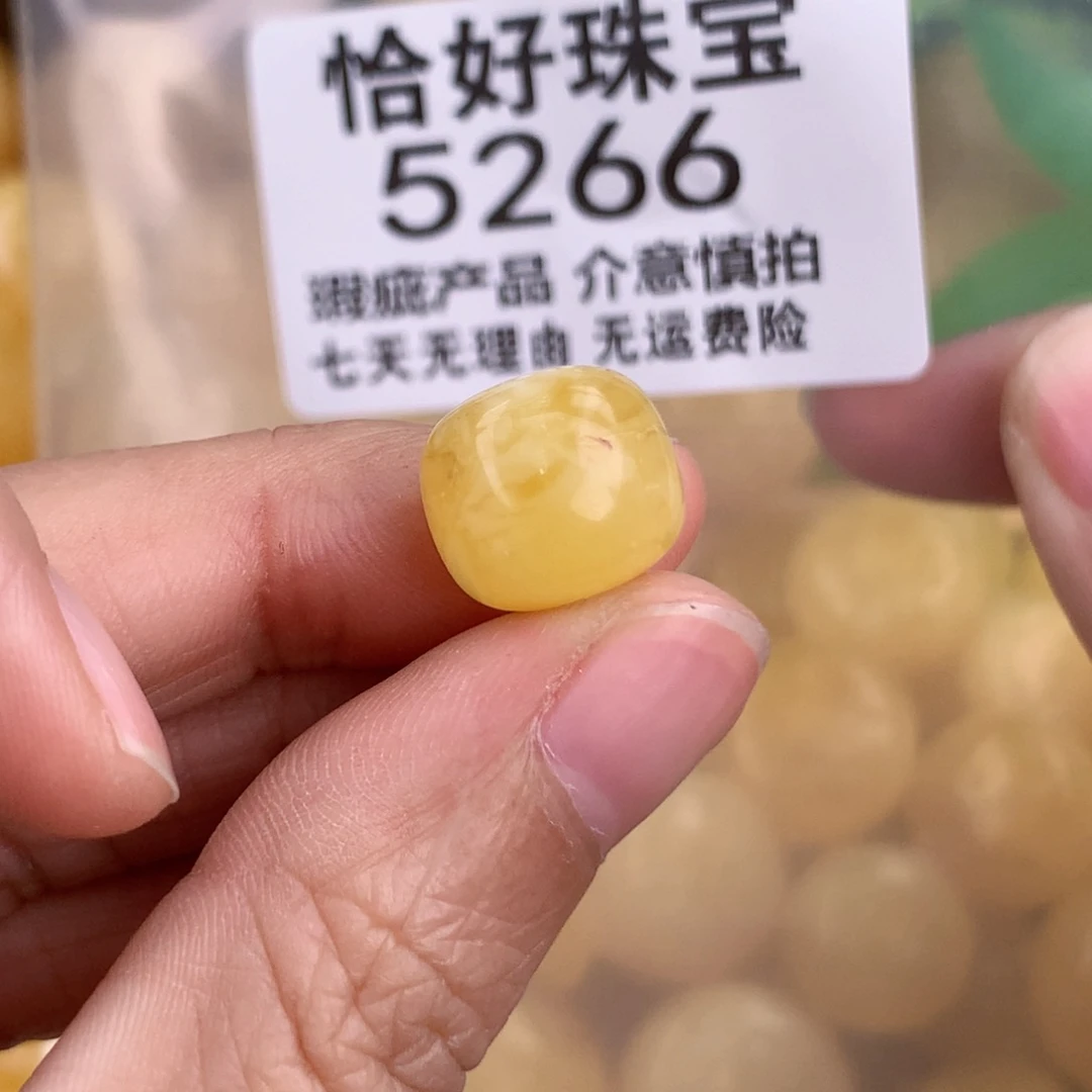 蜜蜡未镶嵌珠宝奇石 12.3 10.9 植物