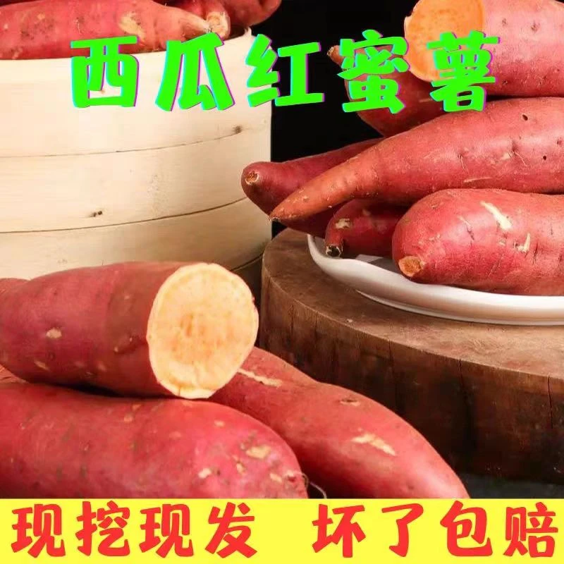 新疆沙地西瓜红蜜薯新疆直发