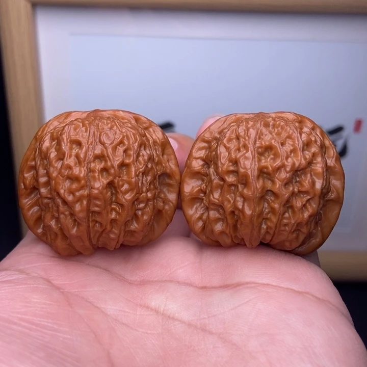 核桃小尺寸血麒麟