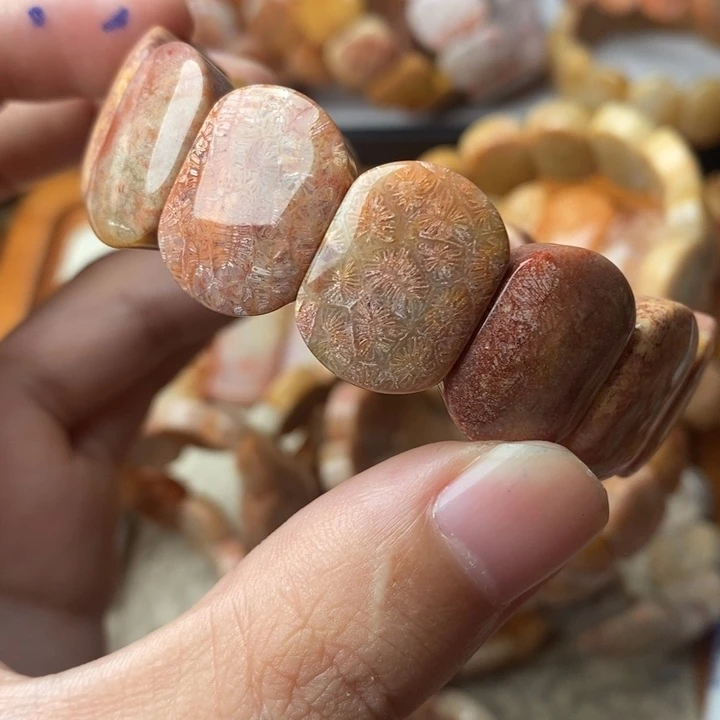 五***鱼颈饰未镶嵌硅化珊瑚（珊瑚玉）