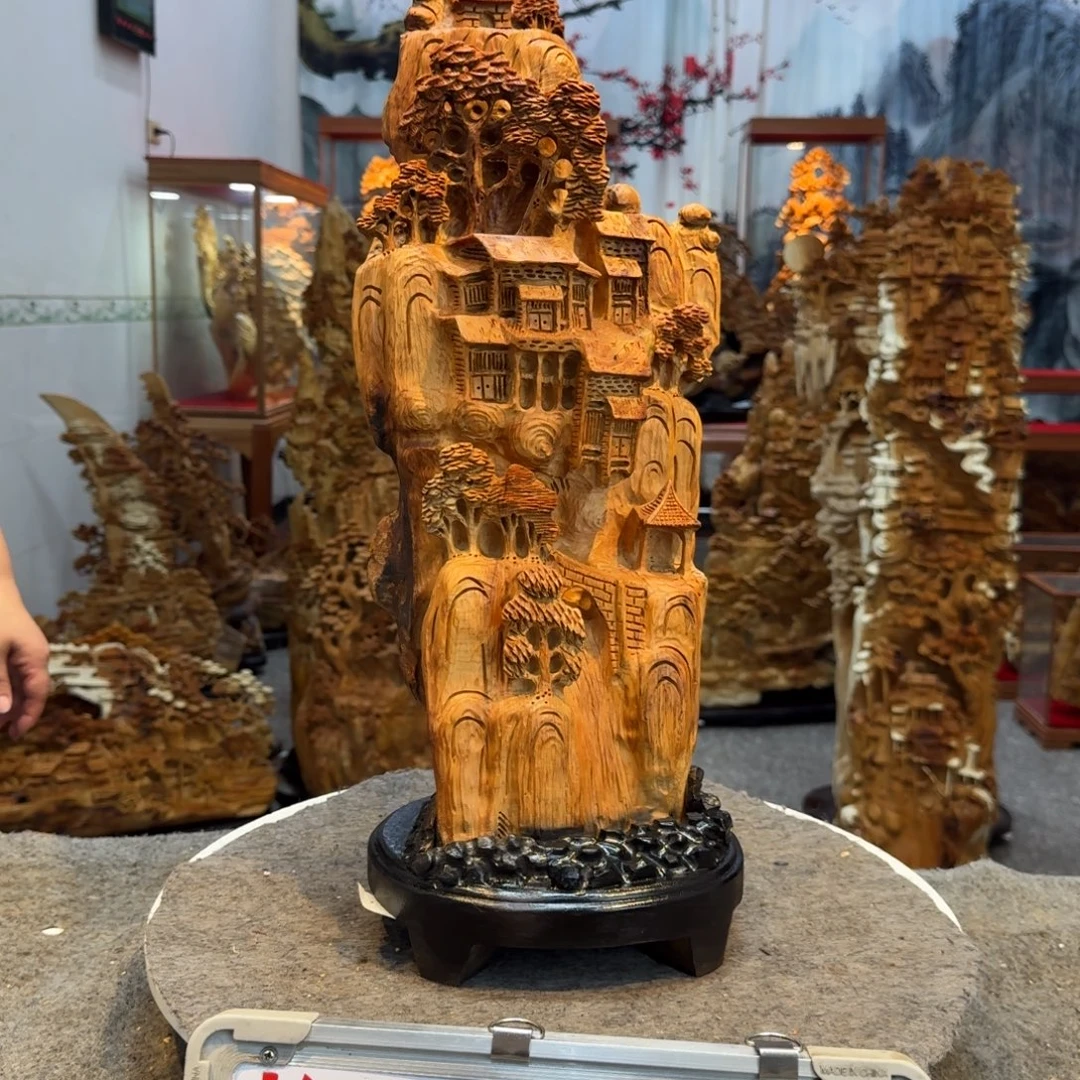 柏木（崖柏）崖柏111111