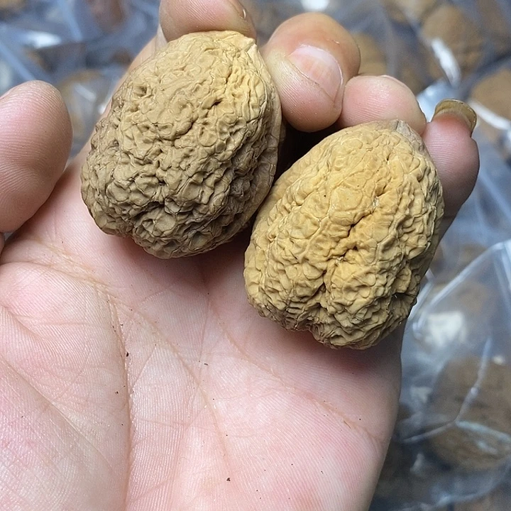 文玩核桃把件云南铁核桃19号42mm