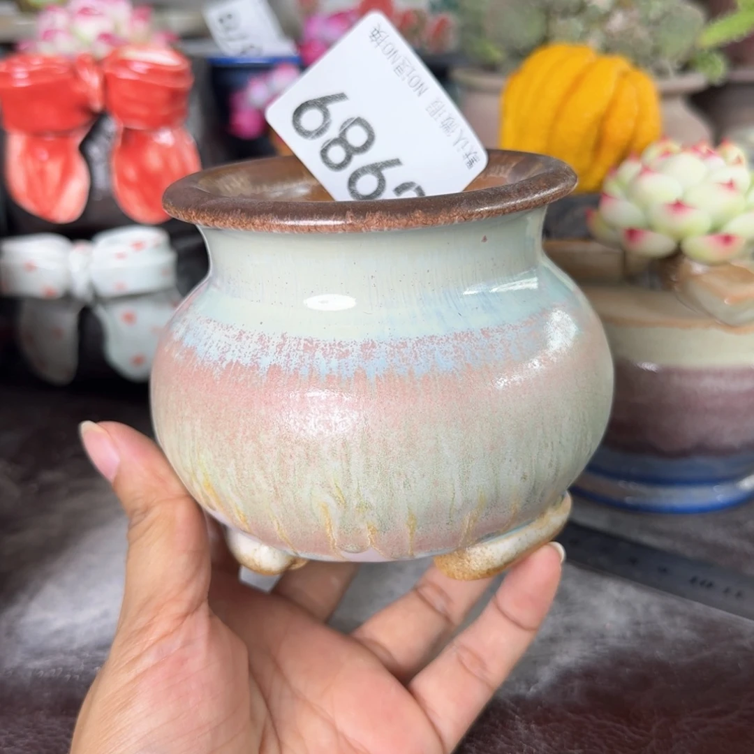 重庆小燕子欢迎大家989