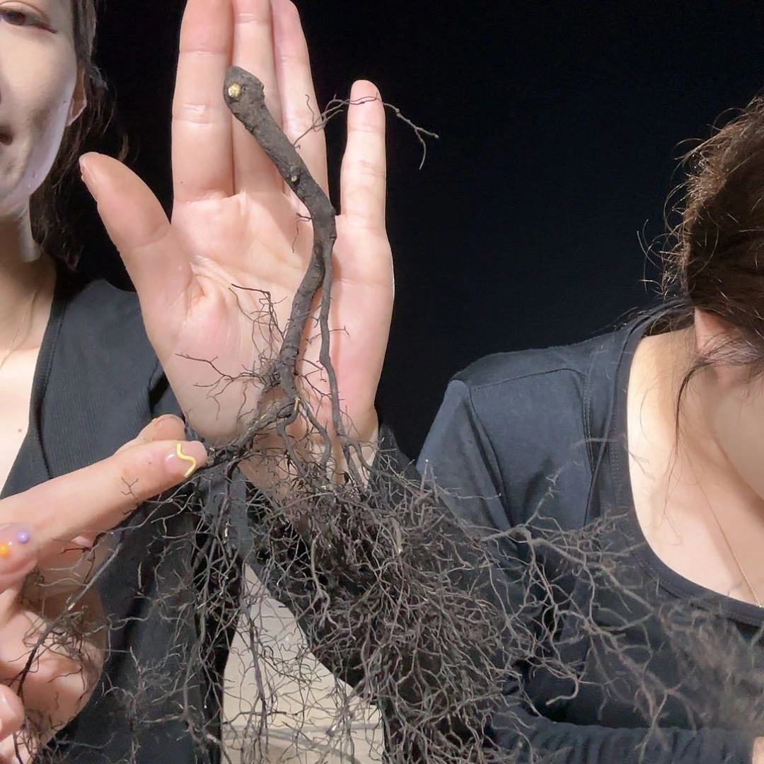 我****0云中鹤哈哈哈哈哈哈