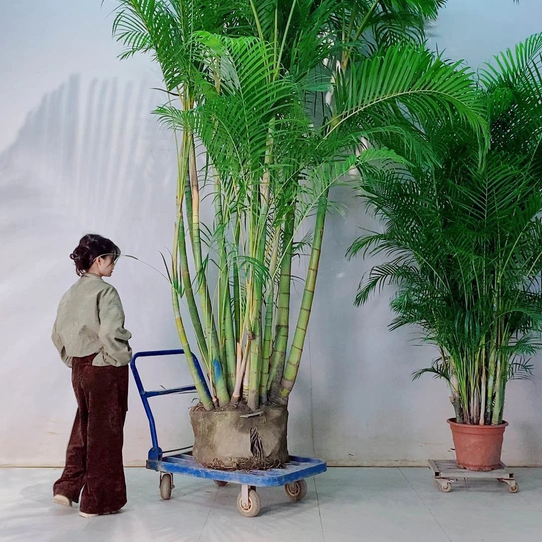 完全开放墨****室898568755