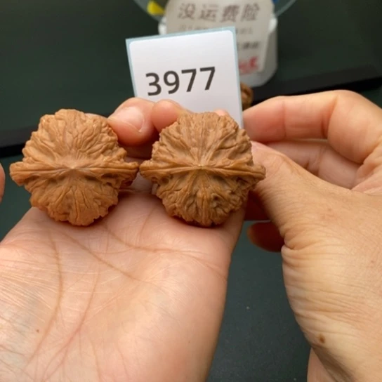 把件文玩核桃41.5全品正磨3977