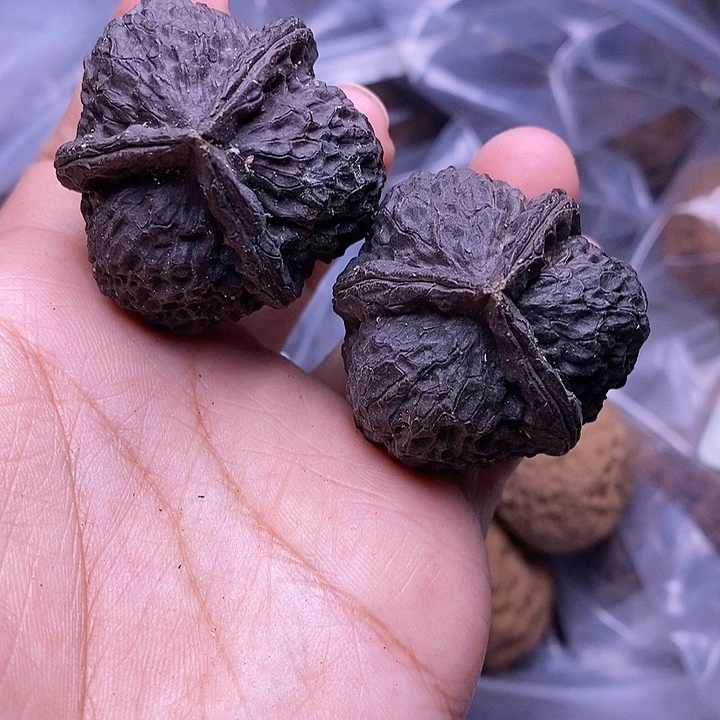 文玩核桃把件   16