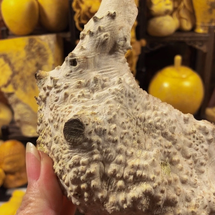 卡***想木木料木料木料木料