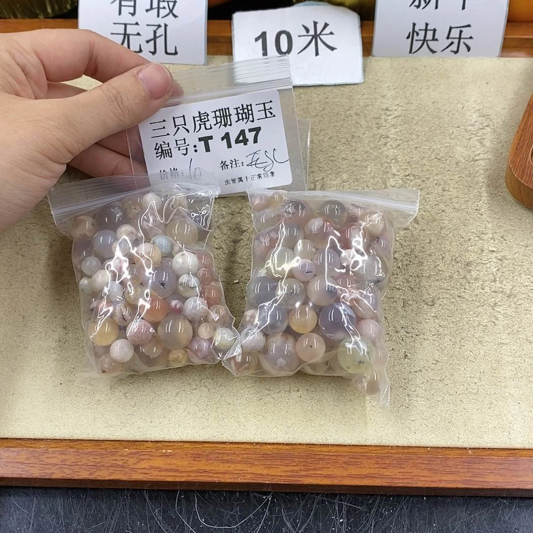 硅化珊瑚（珊瑚玉）1未镶嵌