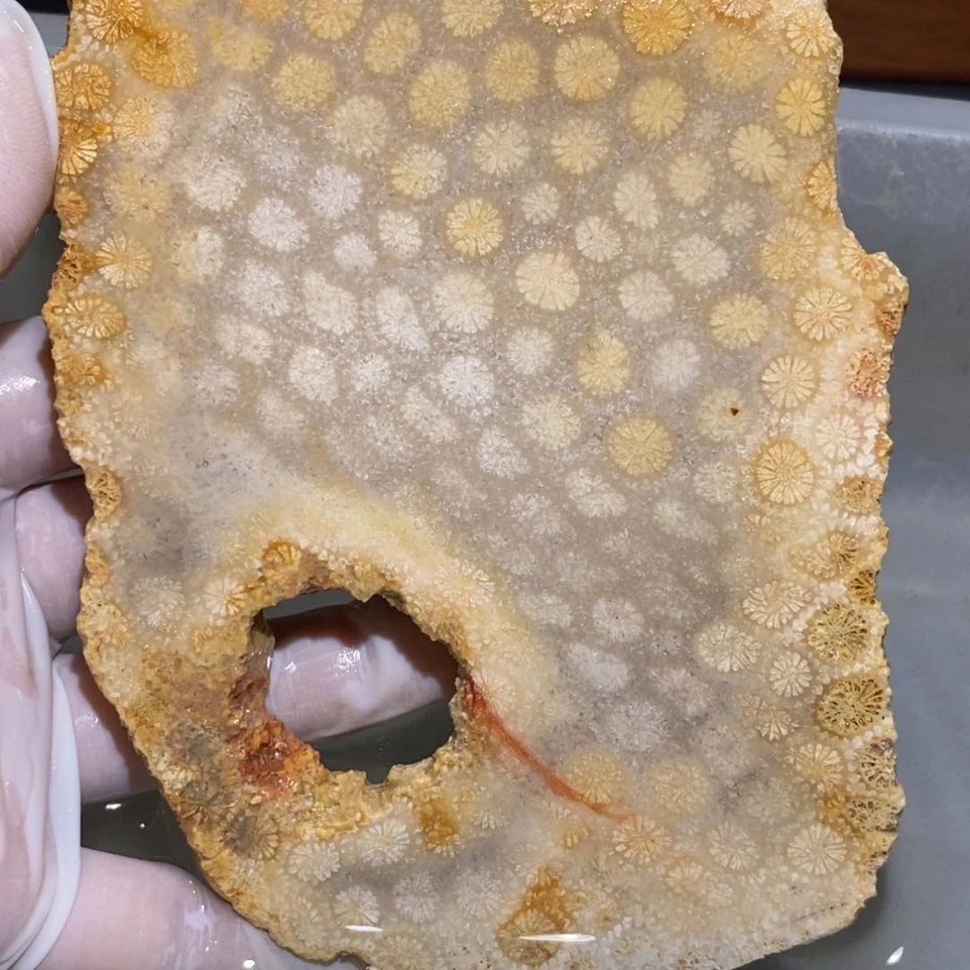 【闪购商品】未镶嵌珊瑚玉硅化玉