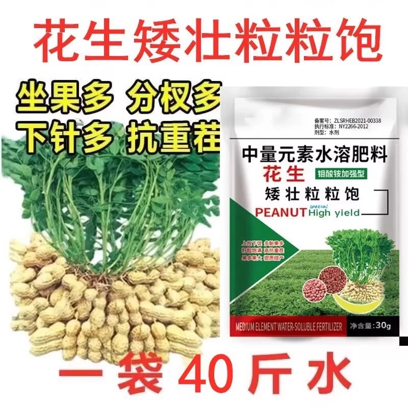 花生矮壮粒粒饱满控旺抗病壮棵壮苗籽粒饱满含氨基酸叶面肥