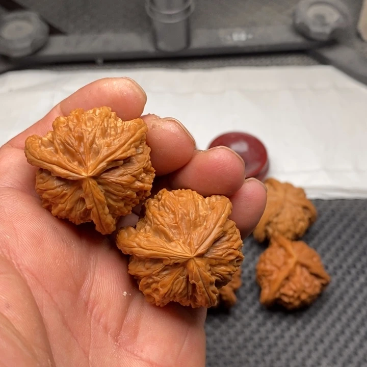 核桃把件洋***洋拼接白狮子12