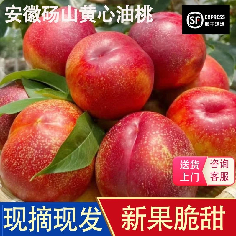 【顺丰包邮】正宗砀山麻点黄心油桃脆甜多汁现摘现发新鲜发货