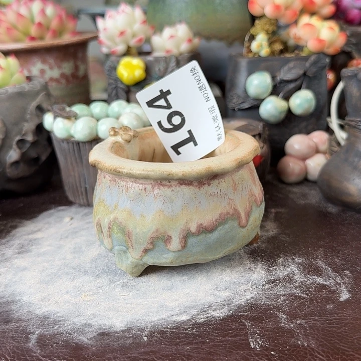 重庆小燕子欢迎大家164