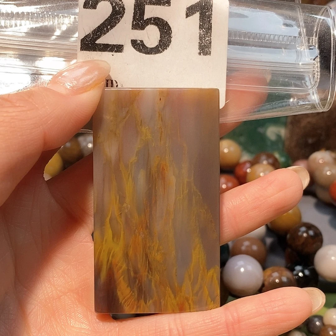 未镶嵌天然北票硅化玉吊坠硅化玉