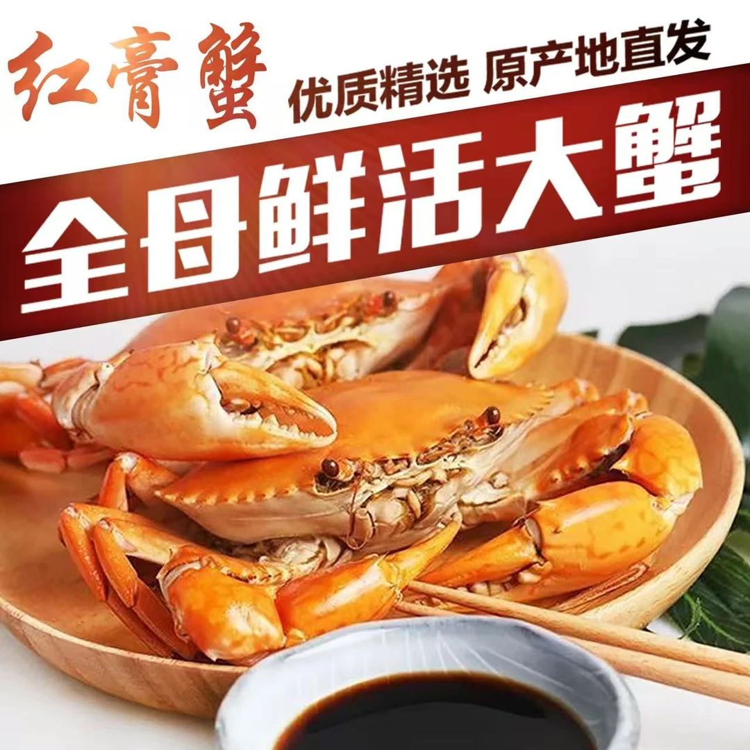 福建红膏母蟹（拍5只加送1只到手的6只）每只净重4两到3.5两青蟹