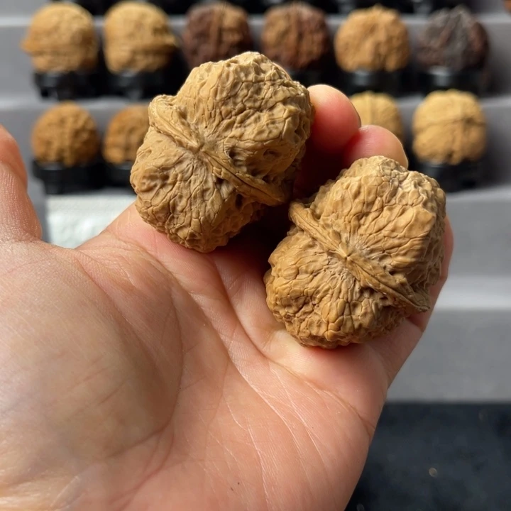 文玩核桃把件6-09