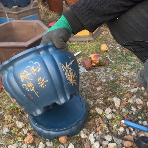 红陶紫砂花盆盆景盆栽