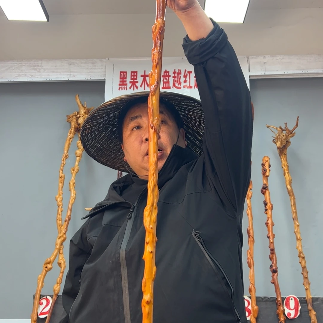 黑果木其他小*豆黑果木122