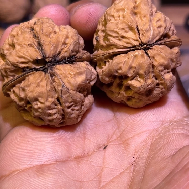 把件文玩核桃红旺云铁8号38mm小破损