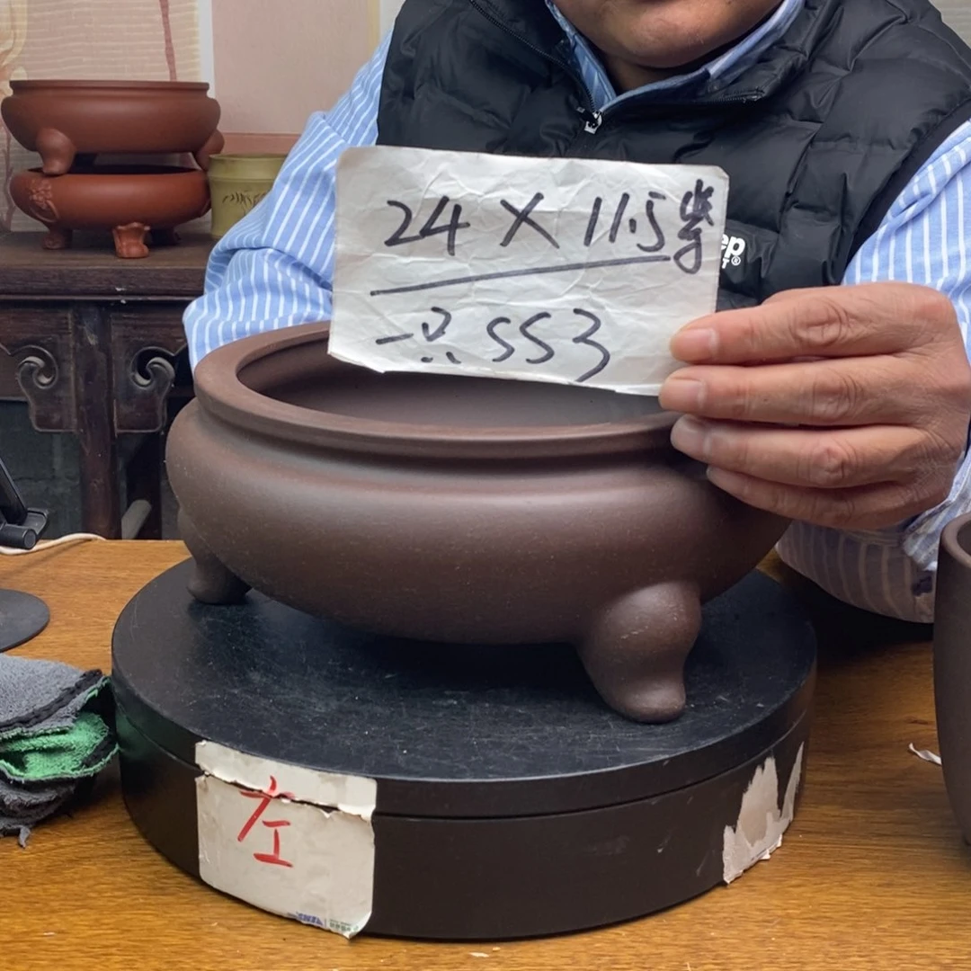 紫砂货号一只SS3