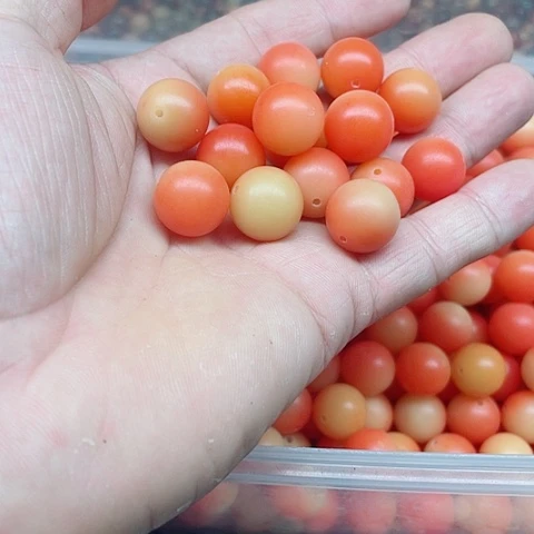 吊坠白玉菩提15精品梦幻橙20颗