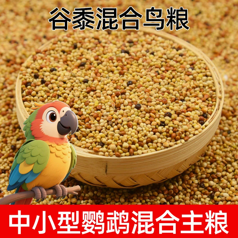 五色谷子黍子混合鸟粮适合虎皮牡丹玄凤等小型鹦鹉