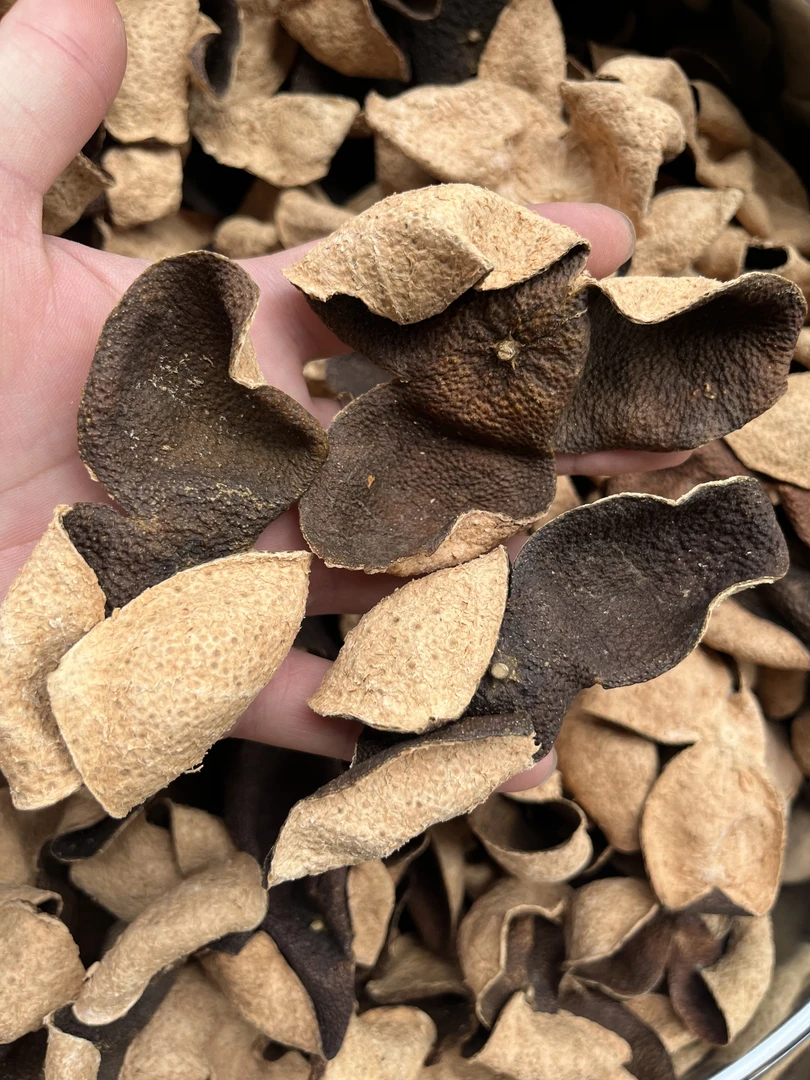 2015年天马圈枝老青陈皮 yy香