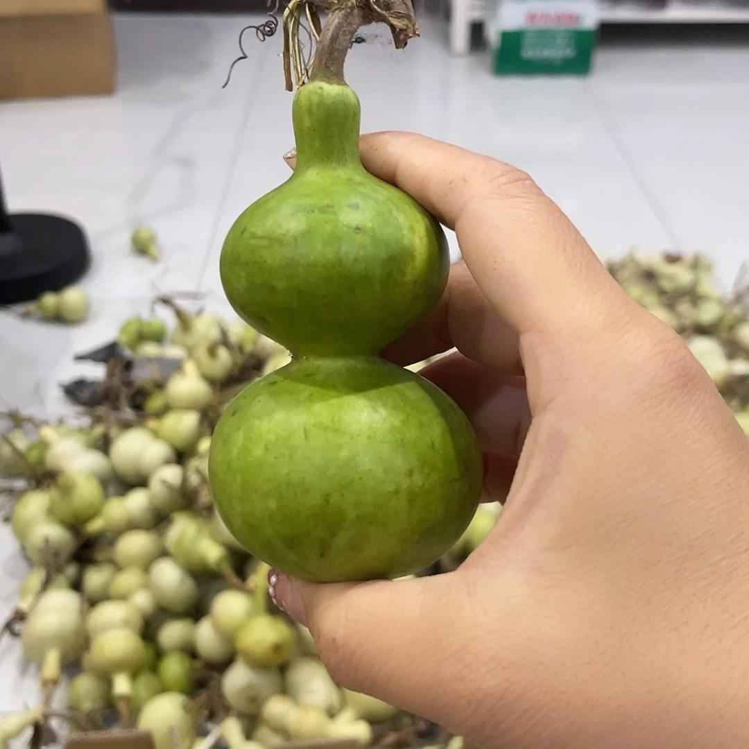 镇***行把h还回不回家哈哈哈哈