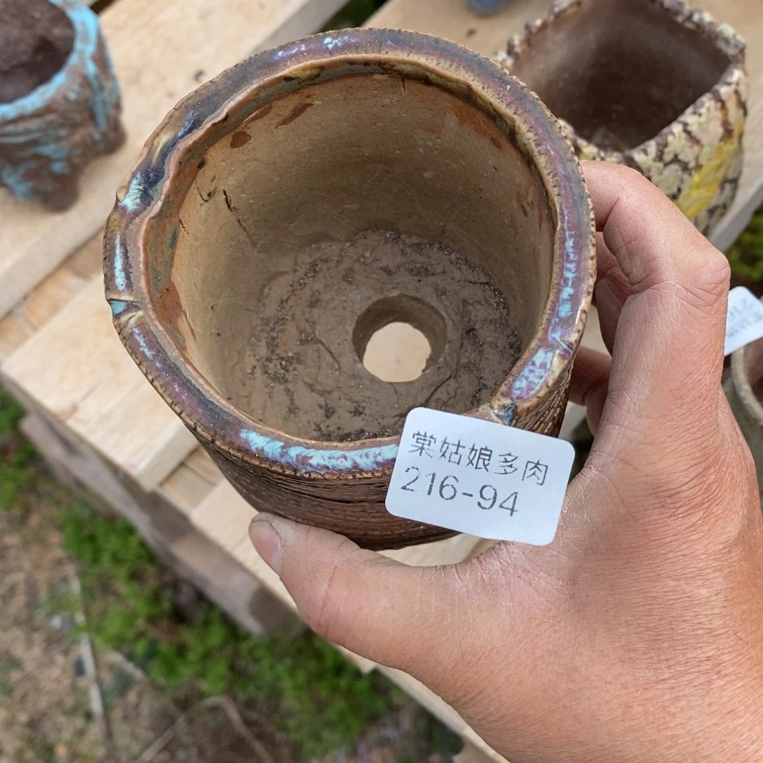 红陶清****子94号多肉盆一个呀