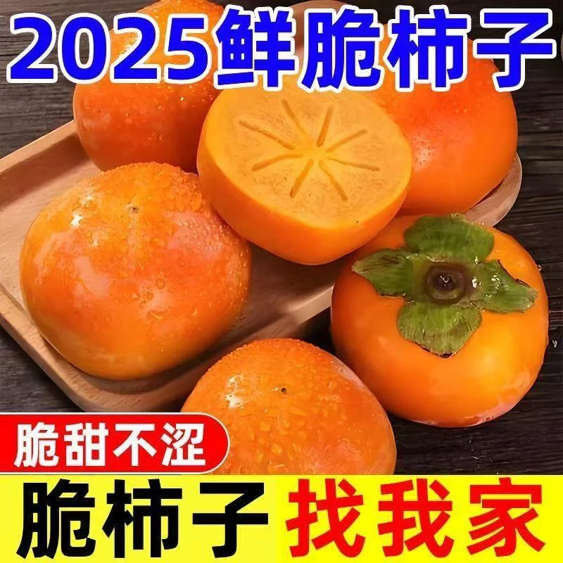 果园直发正宗甜脆柿子现摘应季新鲜水果甜柿子脆甜多汁