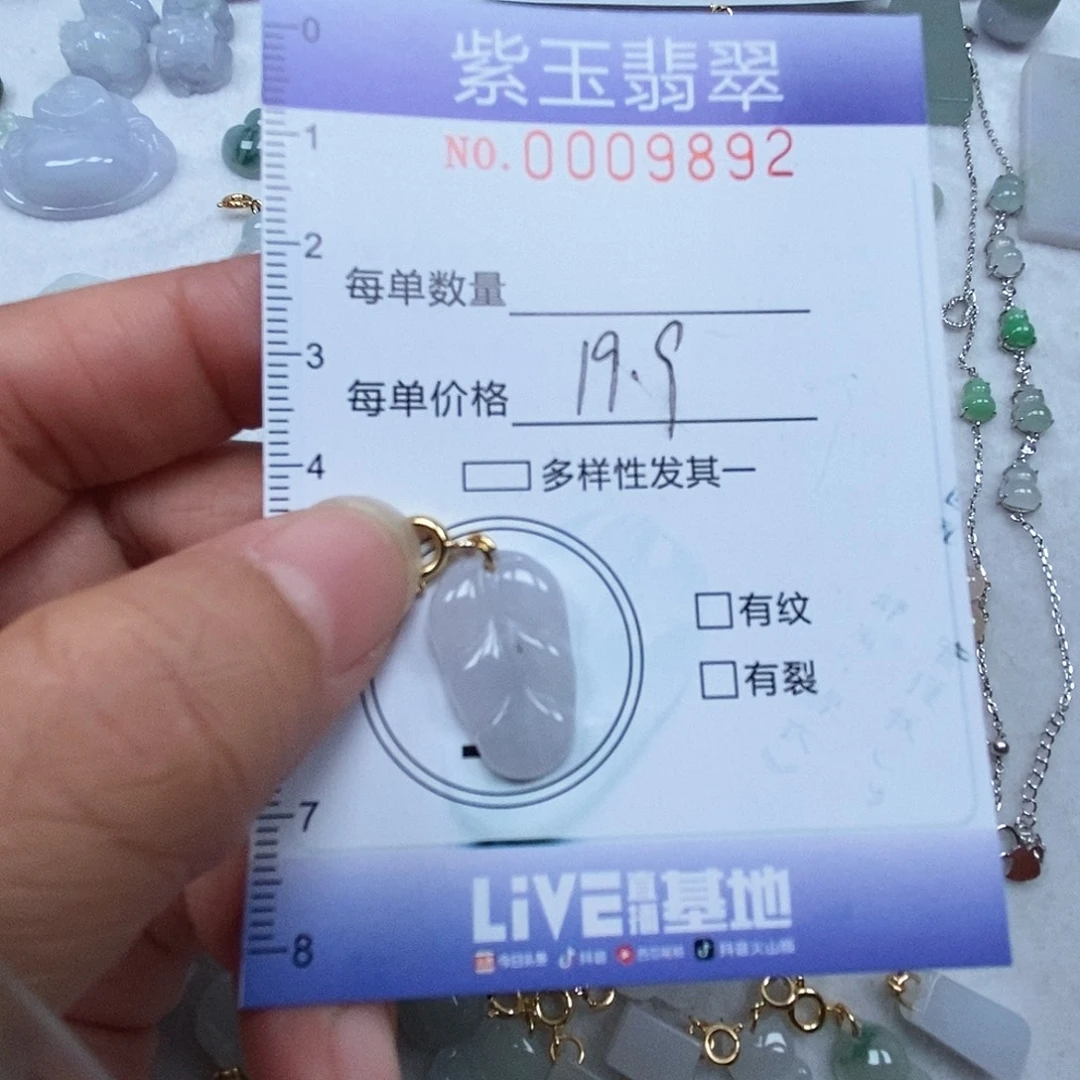 翡翠未镶嵌颈饰叶子