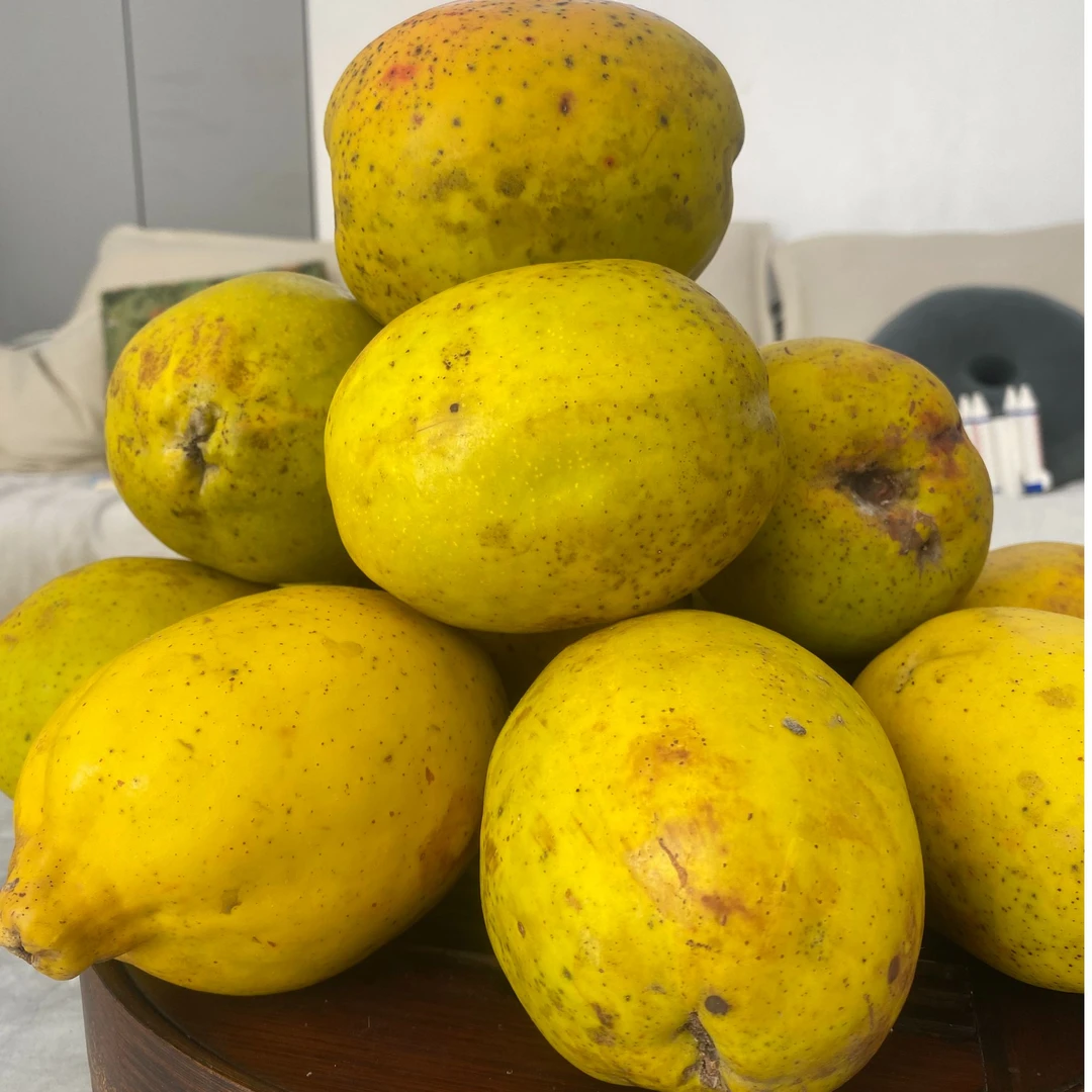 云南大理酸木瓜（脆嫩酸爽）