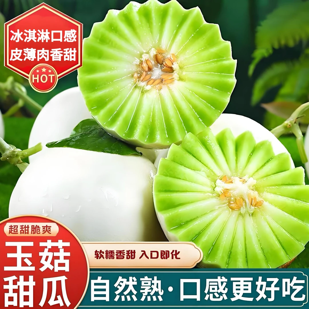 【送挖勺】新鲜采摘头茬冰淇淋玉菇甜瓜香瓜软糯香甜应季孕妇水果