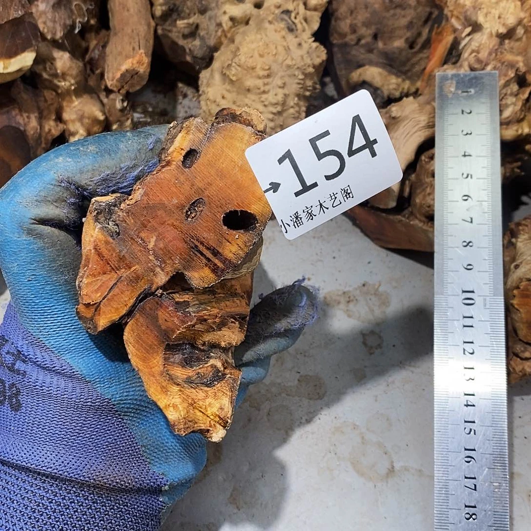 香榧木暖*生火琉璃……火琉璃