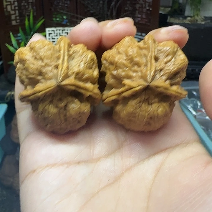 文玩核桃把件霸王龙三棱