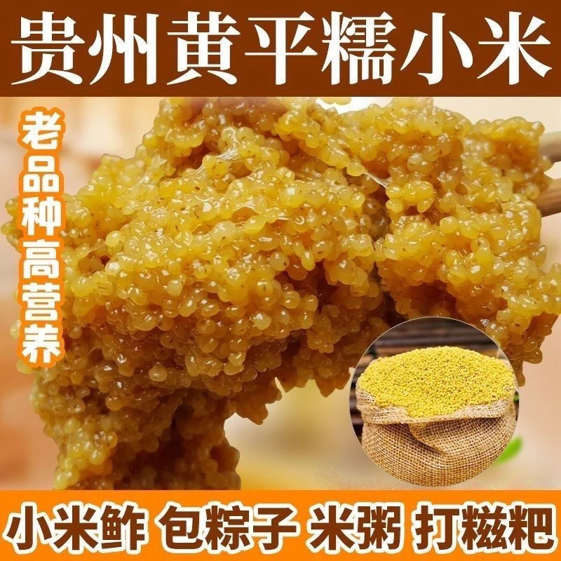 贵州糯小米糯小米