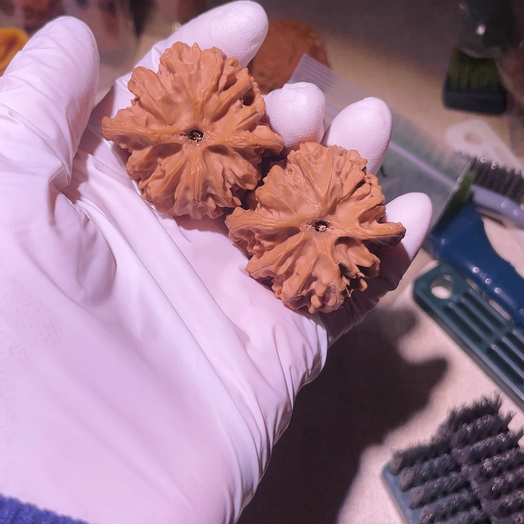 【闪购商品】41苹果园