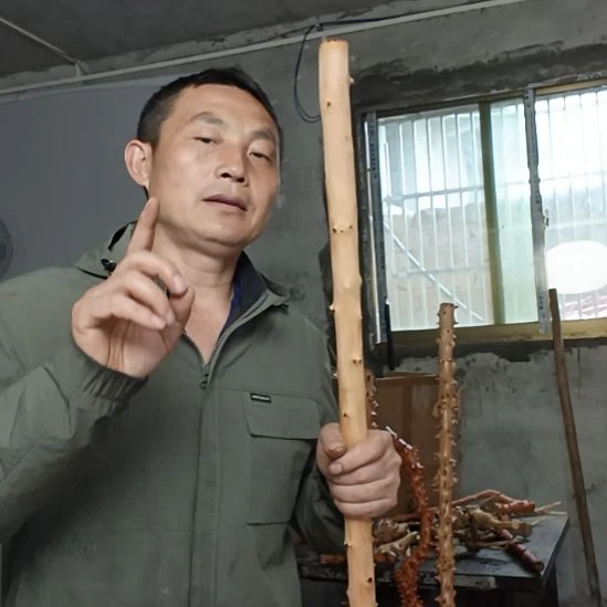 稳定木易****程高山 檬子木文玩料