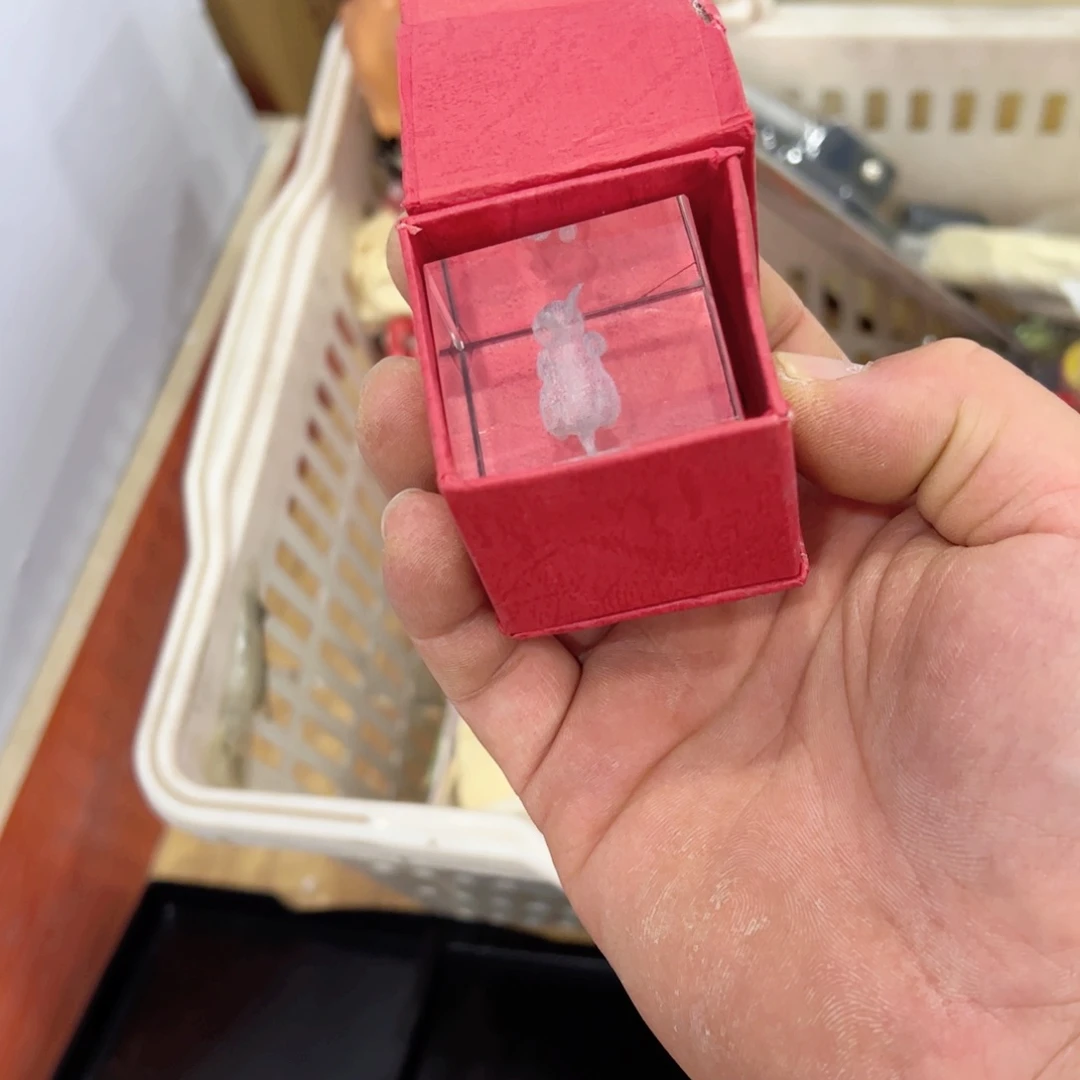 瓷片仟*期待明天继续加油努力学习加油努力