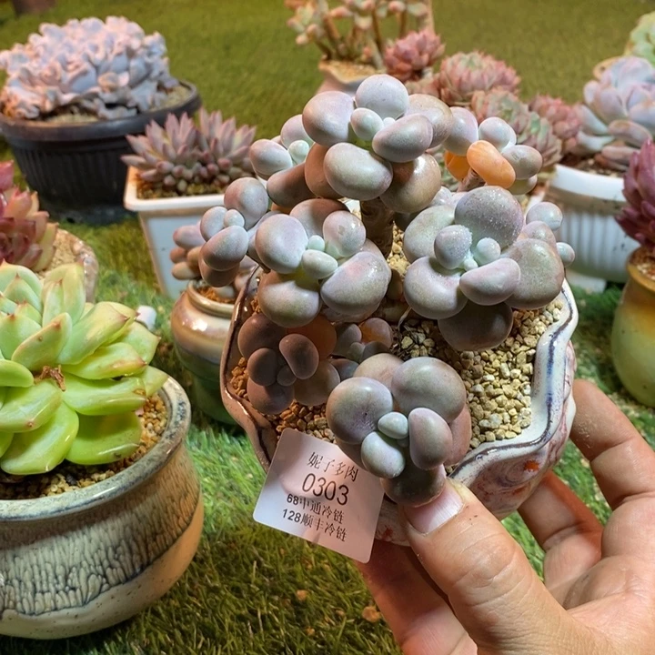 0303啊啊啊啊啊啊啊啊啊