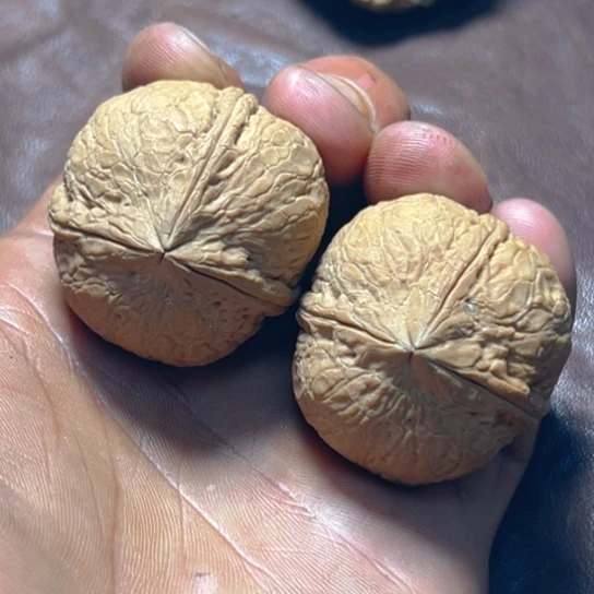 把件文玩核桃卡38金蟒53号