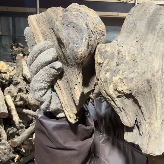 香榧木新**叔火琉璃的故事是毛料