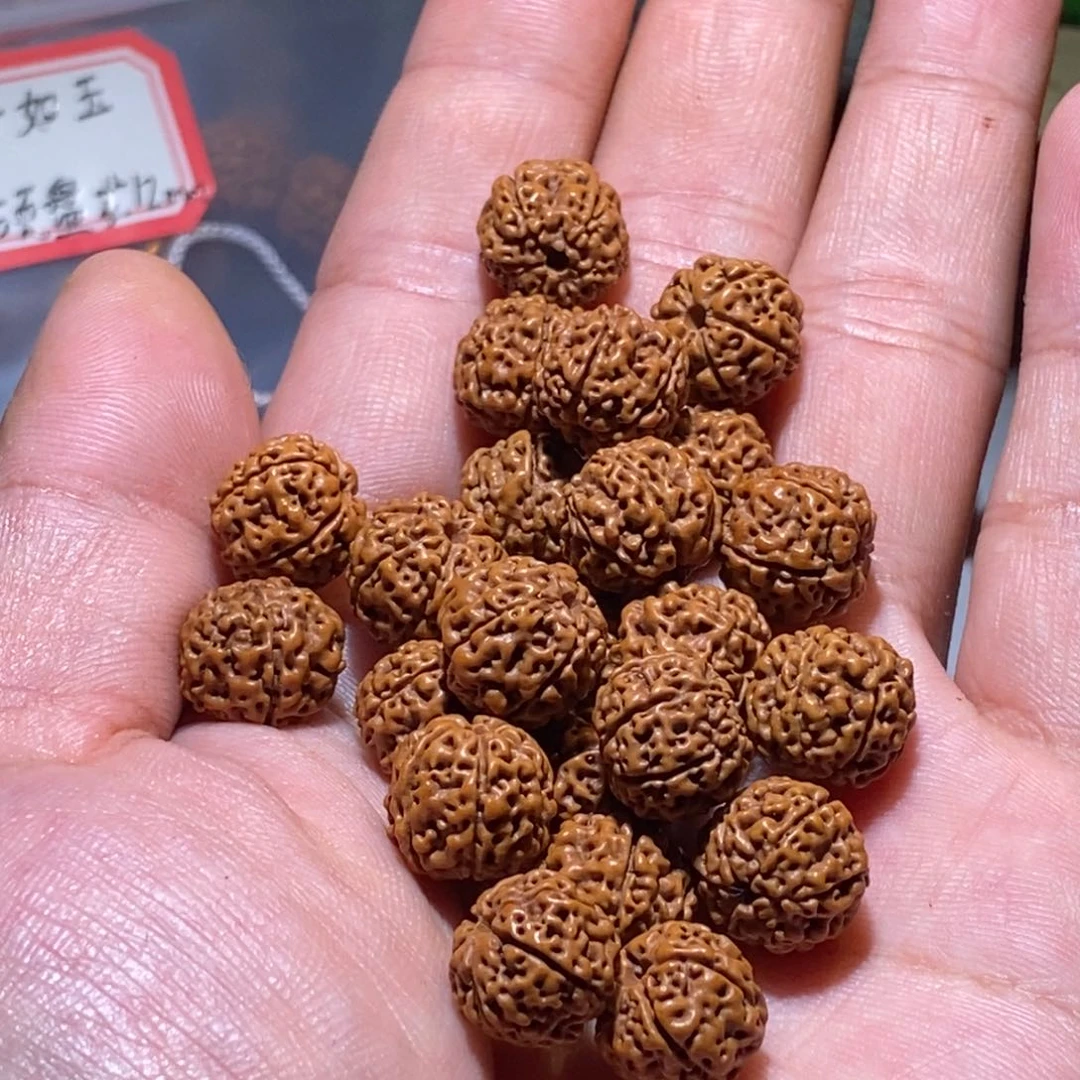 金刚菩提手串天硕盘龙12mm