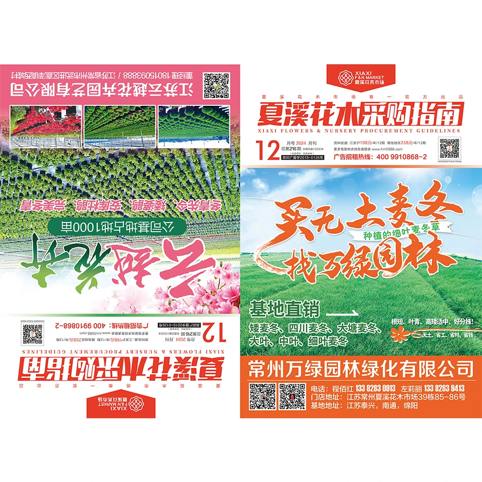 夏溪花木市场采购指南